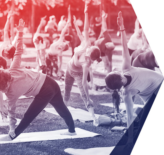 GRUPO FITNESS PROJECT