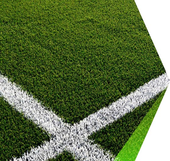 GRASS CARE by Fitness Project