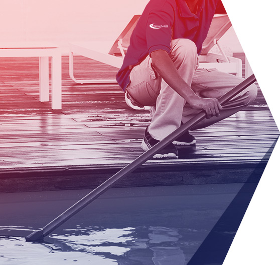 GRUPO FITNESS PROJECT