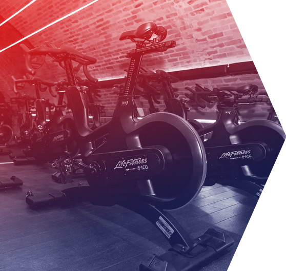 GRUPO FITNESS PROJECT